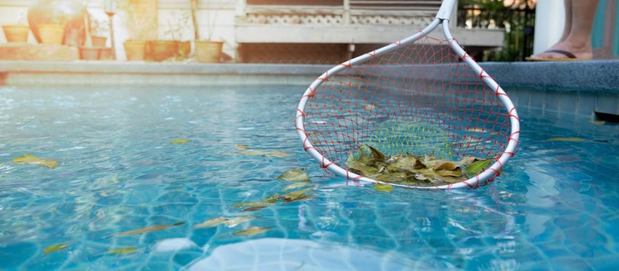 الدليل الشامل لكيفية تنظيف المسابح والمحافظة عليها